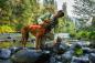 Preview: Ruffwear Web Master Hundegeschirr Blaze Orange Gr. L/XL Preview: Ruffwear Web Master Hundegeschirr Blaze Orange Gr. L/XL